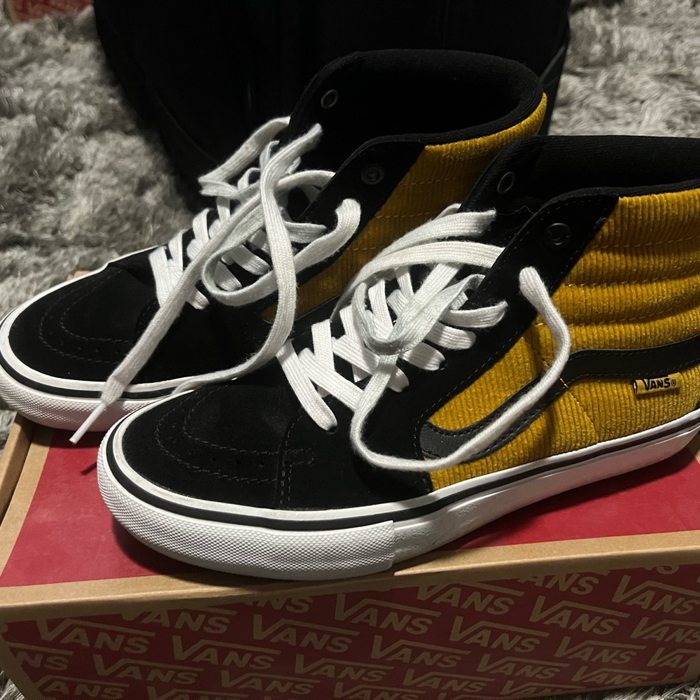 SK8 Hi Pro